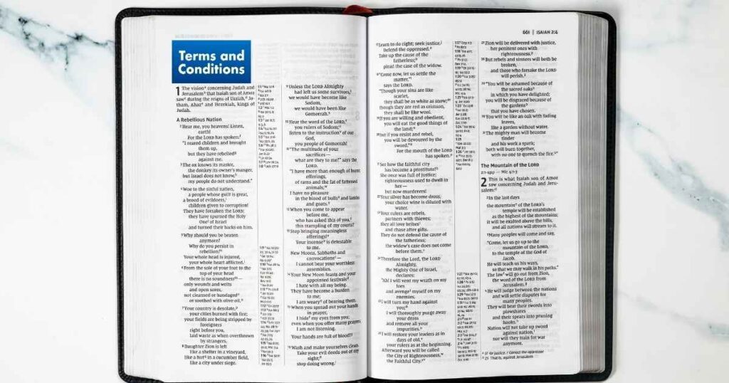 Terms and Conditions for NiteXXX