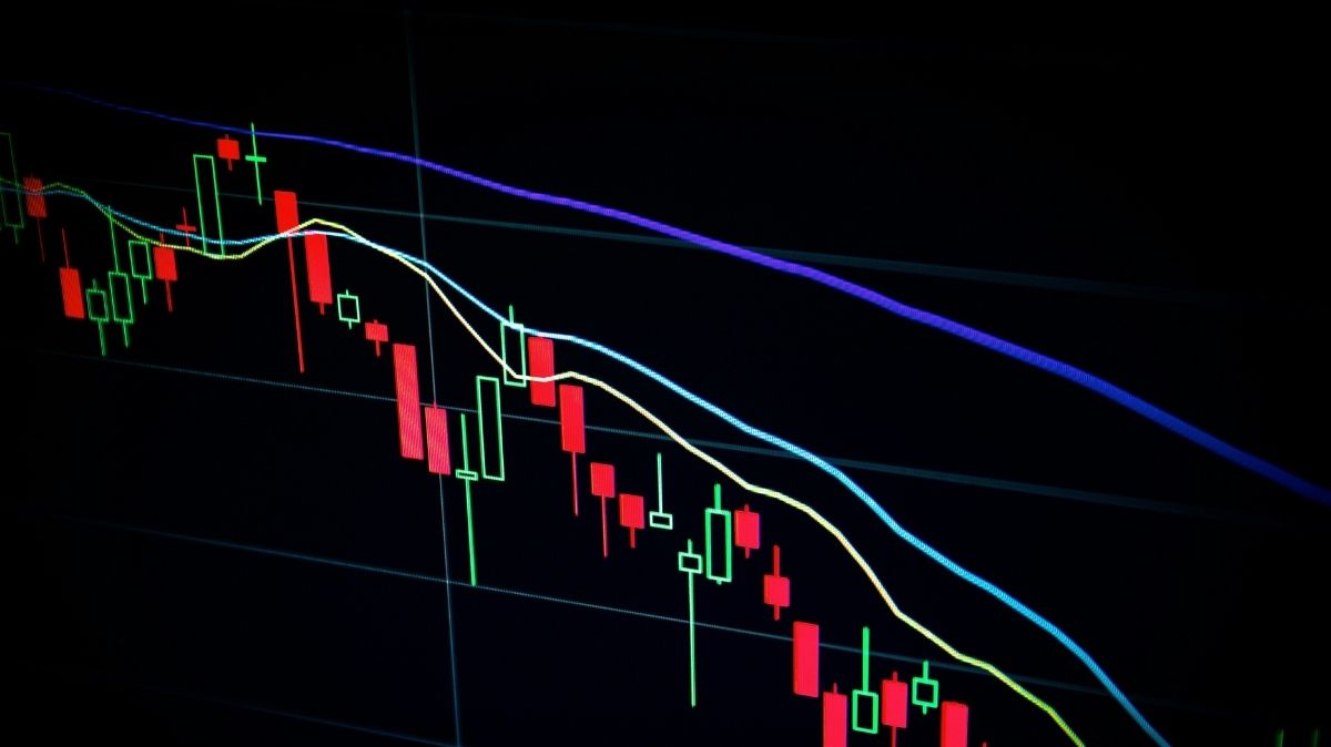 Bear Market guide: 5 Proven Ways to Protect Your Wealth