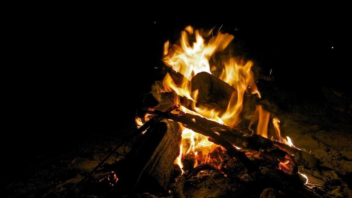 Firewood Near Me:5 Find Quality Firewood for Your Needs