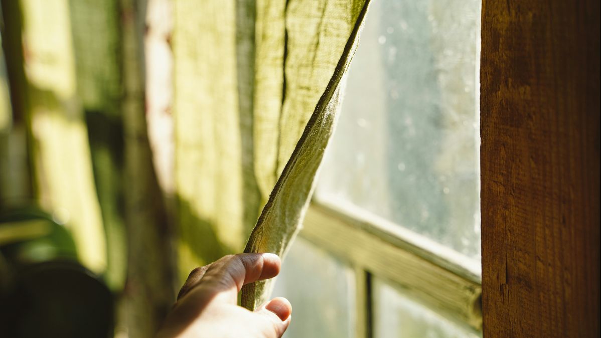 Window Cleaning Near Me: 5 Brilliant Benefits for Spotless.