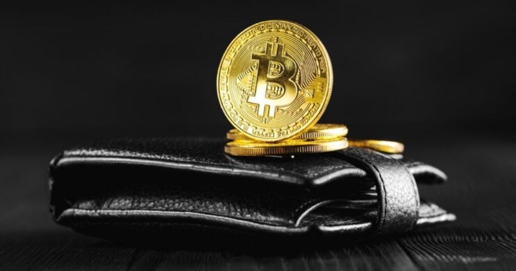 Understanding Bitcoin Wallets: A Comprehensive Guide