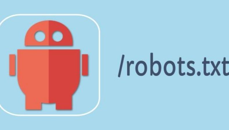 Robots.txt Guide: Everything You Need to Know