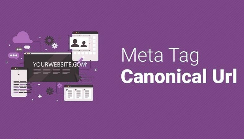 Understanding Canonical Tags in SEO: A Comprehensive Guide