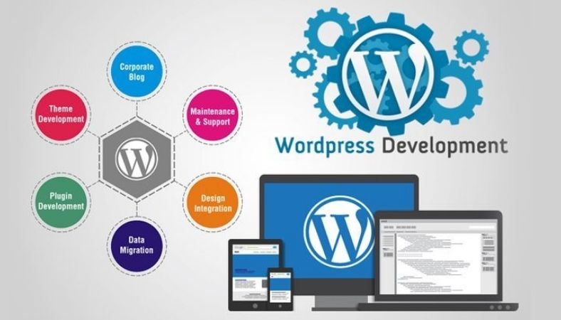 SEO for WordPress Search engine optimization is relevant to a WordPress site to bring greater exposure within the search engines. WordPress is a popular Content Management System (CMS) tool and as such contains several plugins and features that make it very easy to handle. This article will give the reasons as to why WordPress web site owners will need SEO, ways of implementing different strategies and the available WordPress SEO plugins. SEO for WordPress: A Comprehensive Guide for Better Ranking